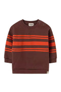 Brown sweatshirt with red stripes .
