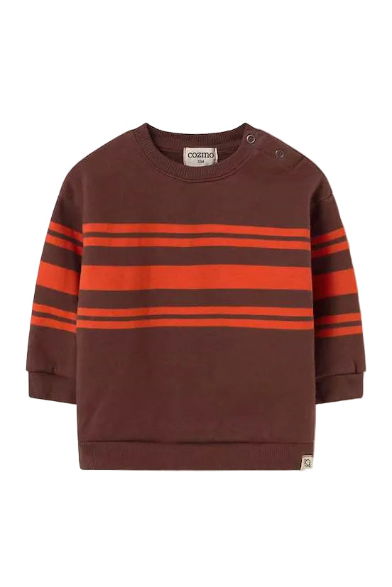 Brown sweatshirt with red stripes .