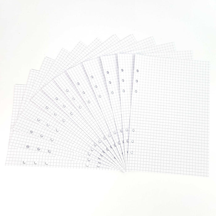 Fan of 24 white graph paper refill pages with hole-punched binding edge