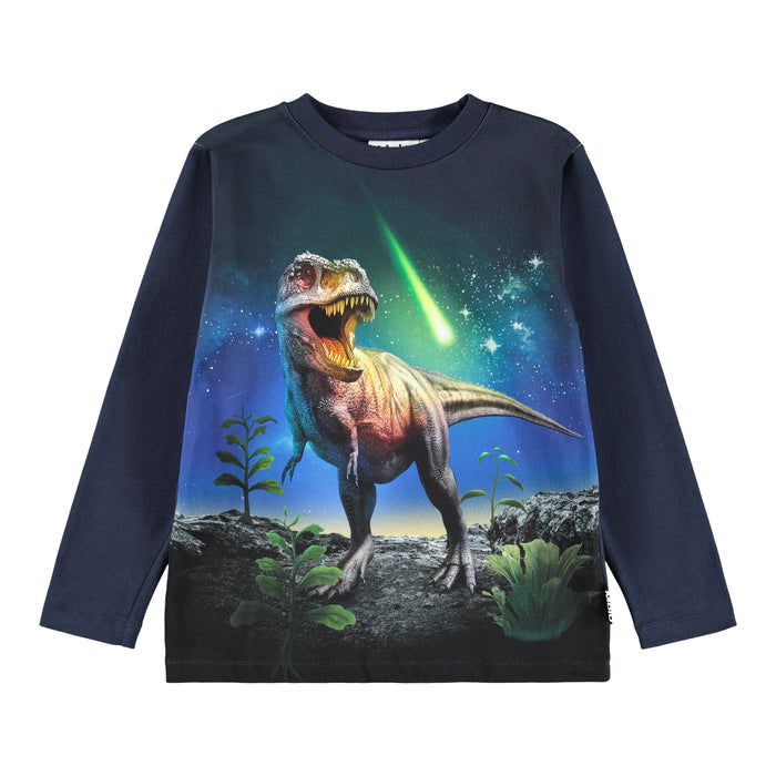 Reif LS Tee - Meteor Dino