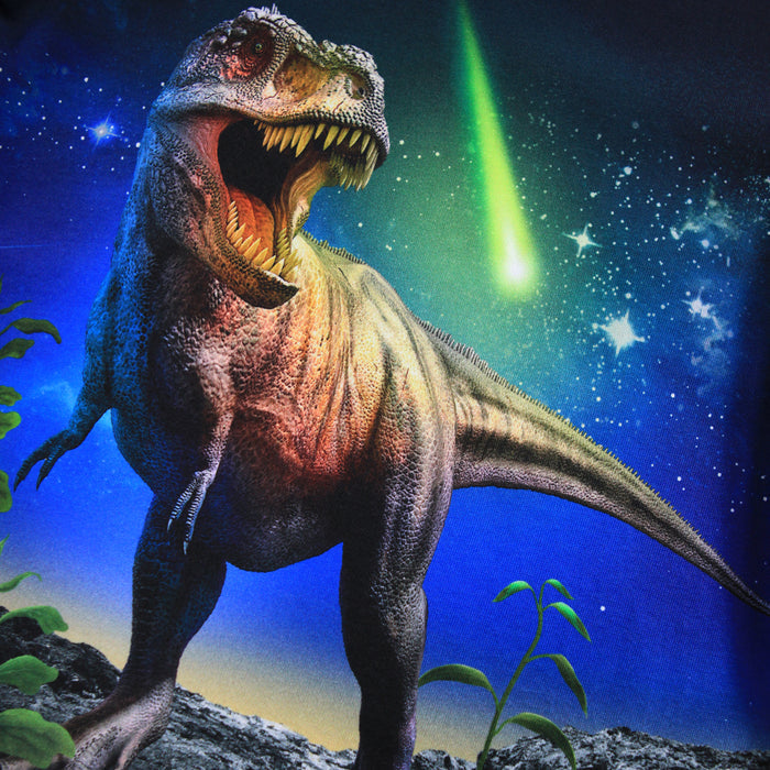 Reif LS Tee - Meteor Dino