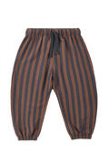 Striped pants with brown and blue stripes on a white background