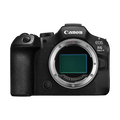 Rental: Canon EOS R6 Mark III Mirrorless Camera Body
