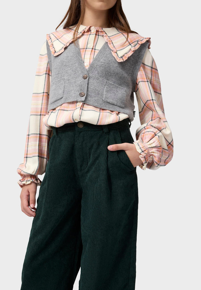 Person wearing a plaid shirt with a gray vest and dark pants on a white background