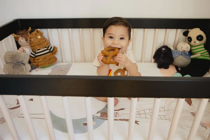 Salty Sonny Rubber Teether