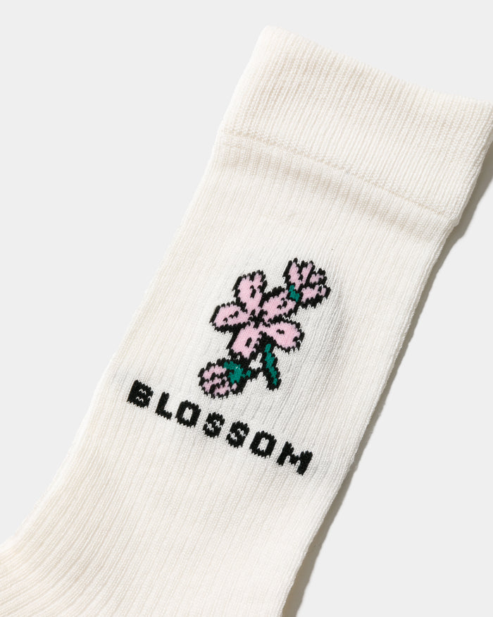 sock a trois APPLE