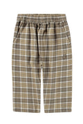 Plaid pants on a white background