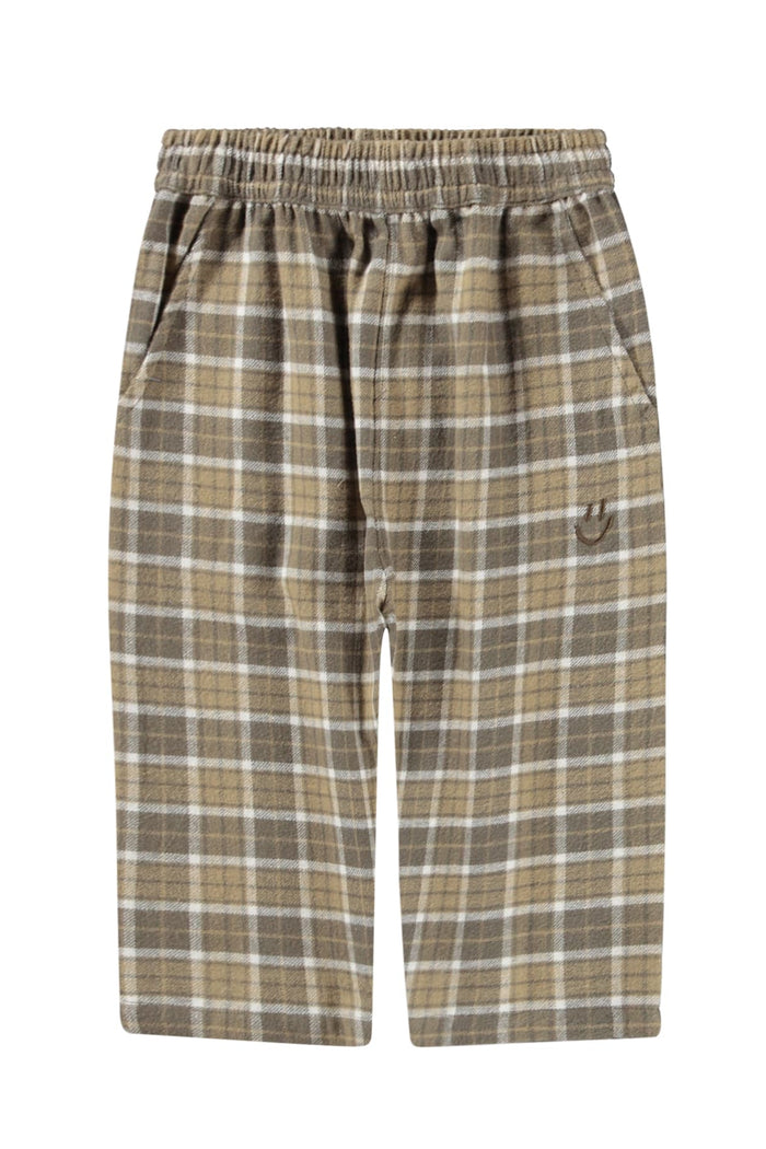 Plaid pants on a white background