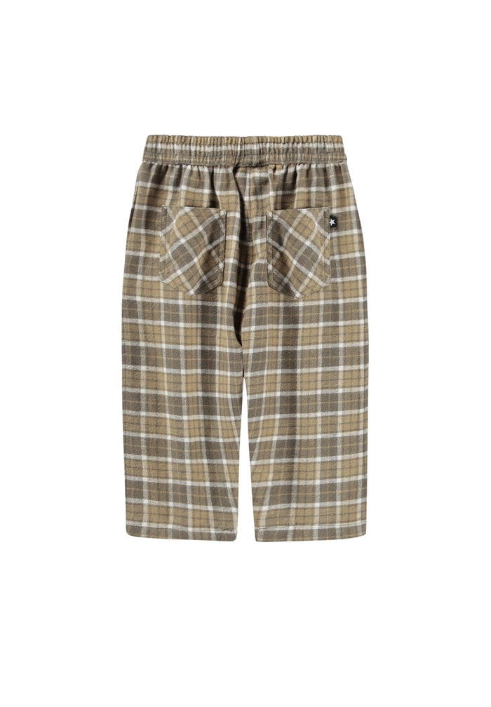 Plaid pants on a white background