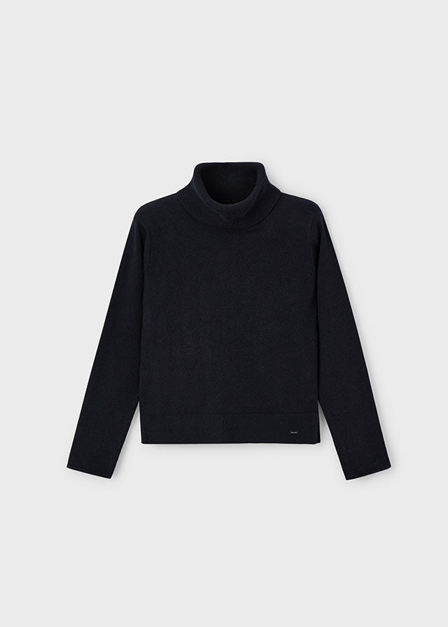 Turtleneck Sweater