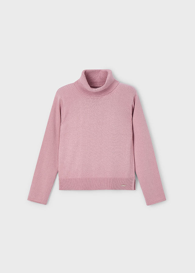 Turtleneck Sweater