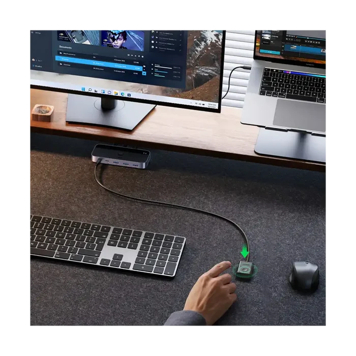 UGREEN Sharing Switch Box 2-in-4 Out