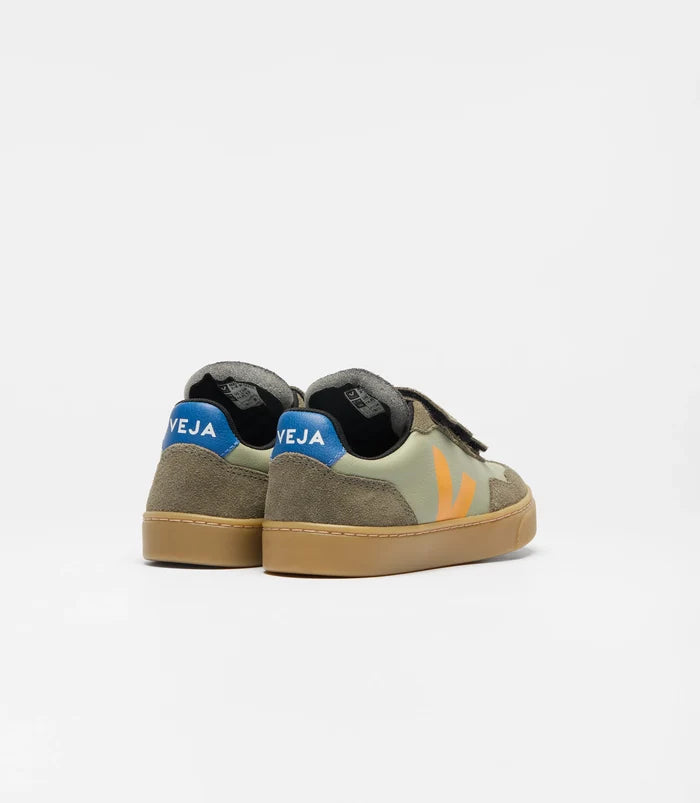 Veja sneakers with a white background