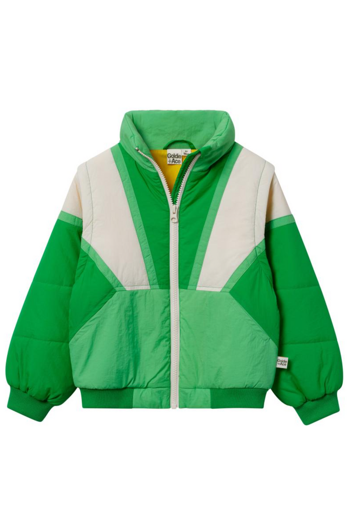 Green and white jacket on a white background